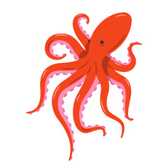 Red octopus isolated vector illustration on white background. Marine life and animals concept. Cute sea monster, underwater predator.