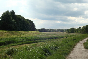 Fototapeta na wymiar Green meadow on the riverbank