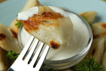Concept of tasty food with vareniki or pierogi