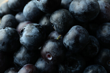 Fresh berry concept with blueberry, close up