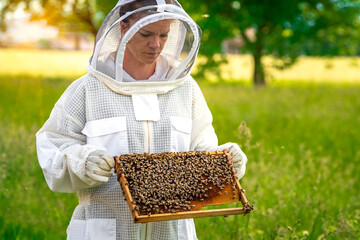 Beekeeper inspects bees in a protective suit
