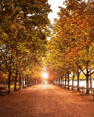 Naklejka premium Jardins des Tuileries Paris Automne