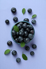 Fresh berry concept with blueberry on violet background