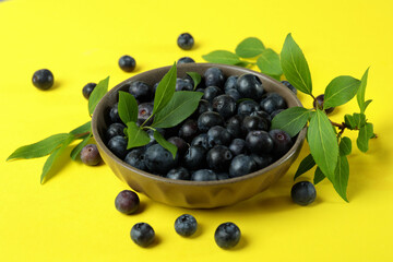 Fresh berry concept with blueberry on yellow background