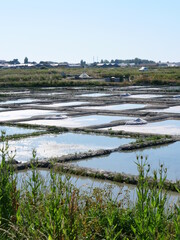 The salt marshes in Guerande. June 2021, France.