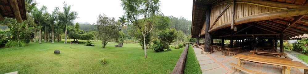 person walking in the forest