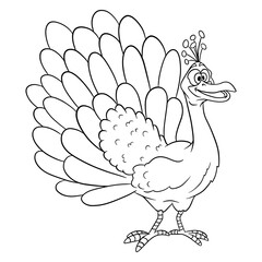 Animal character funny peacock in line style coloring book