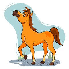 Animal character funny horse in cartoon style