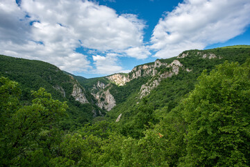 Steep rocky cliffs of Lazar's Canyon / Lazarev kanjon, the deepest and longest canyon in eastern Serbia, near the city of Bor