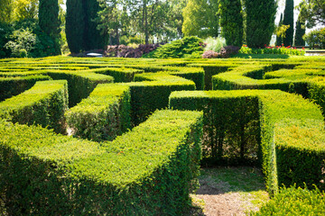 Green maze made with plants in a summer park