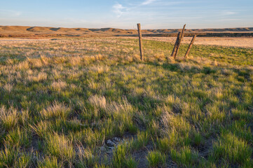 Evening view of an old fence in Grasslands National Park, Saskatchewan, Canada
