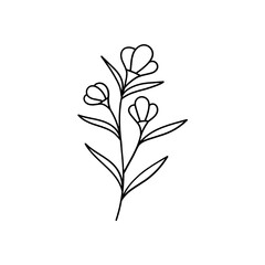 Leaves with Flowers Bouquet Line Art Illustration