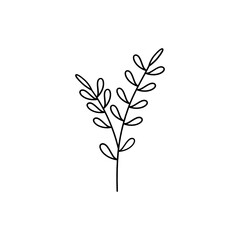 Leaf Plant Line Art Illustration