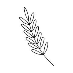 Leaf Plant Line Art Illustration
