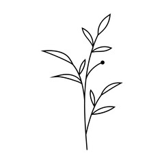 Leaf Plant Line Art Illustration