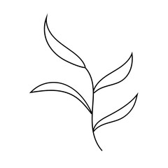 Leaf Plant Line Art Illustration