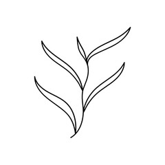 Leaf Plant Line Art Illustration
