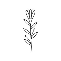 Leaves with Flowers Bouquet Line Art Illustration