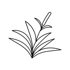 Leaves with Flowers Bouquet Line Art Illustration