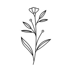 Leaves with Flowers Bouquet Line Art Illustration