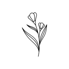 Leaves with Flowers Bouquet Line Art Illustration