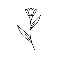 Leaves with Flowers Bouquet Line Art Illustration