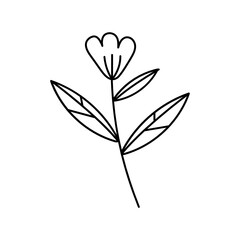 Leaves with Flowers Bouquet Line Art Illustration