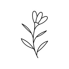 Leaves with Flowers Bouquet Line Art Illustration