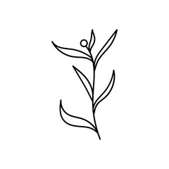 Leaves with Flowers Bouquet Line Art Illustration