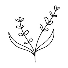 Leaves with Flowers Bouquet Line Art Illustration