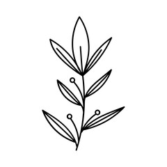 Leaves with Flowers Bouquet Line Art Illustration