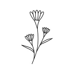 Leaves with Flowers Bouquet Line Art Illustration