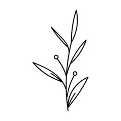 Leaves with Flowers Bouquet Line Art Illustration