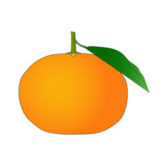 横から見た葉が付いたミカン