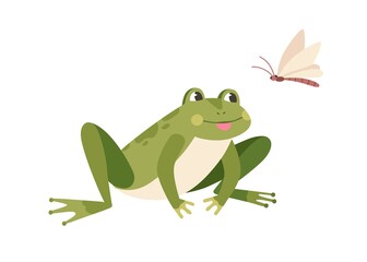 Cute funny frog hunting butterfly. Hungry toad watching for flying insect. Happy little froglet sitting and looking at dragonfly. Colored flat vector illustration isolated on white background
