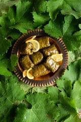 Stuffed grape leaves, healthy homemade food