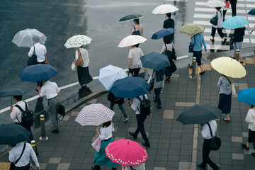 雨・傘 - obrazy, fototapety, plakaty