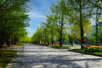 中島公園（札幌市）
