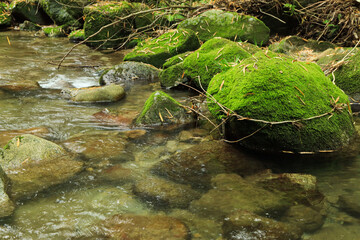 自然風景　渓谷イメージ　