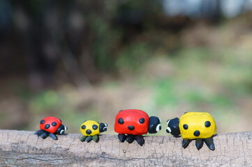 Two small and two large ladybugs on a colored background.