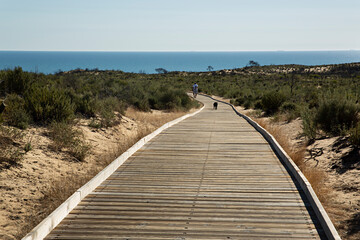 Hombre con su perro andando por pasarela de madera para ir a la playa de Cuesta Maneli, Huelva.