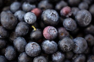 blueberries texture