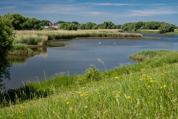 Vordeichland Hamburg Kirchwerder Sommer
