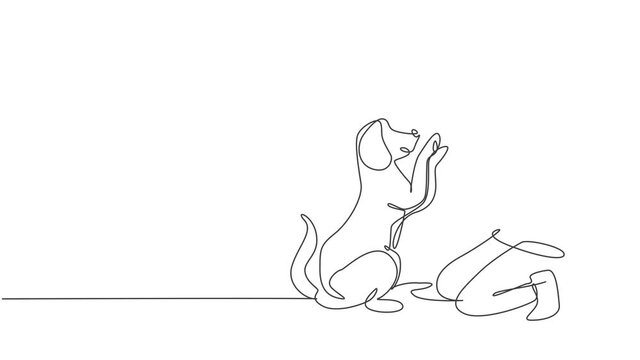 Animation of one line drawing of woman squat then giving high five gesture to his dog at outfield park as friendship symbol. Pet care concept. Continuous line self drawing animated. Full length motion