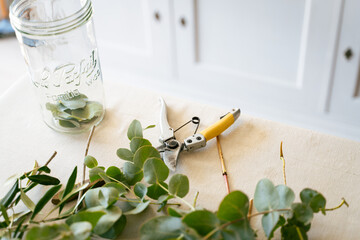 Florist shears used to prune fresh flowers