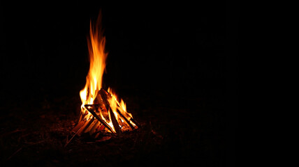 A bonfire in the dark night
