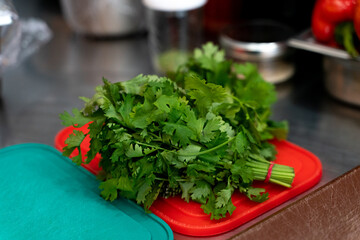 Fresh bouquet of cilantro in a professionnal kitchen
