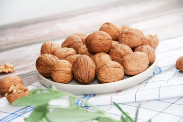 brown walnut in a hard shell