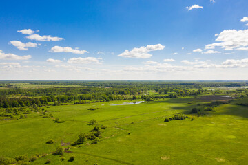 Fototapeta premium Aerial view of the wetland in the Kaliningrad region