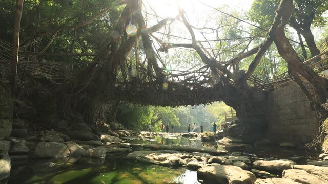 Timelapse of people around the iliving root bridge in mawllillong - Meghalaya which is 100s of years old.